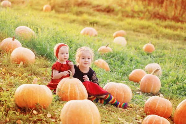 Zwei Kleine Mädchen Mit Orangen Kürbissen Bei Sonnenuntergang — Stockfoto