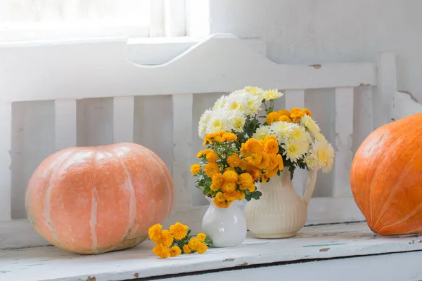 Yellow Chrysanthemums Jug Orange Pumpkins Old White Wooden Bench — Stock Photo, Image