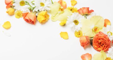 Beyaz arkaplanda güzel sarı ve turuncu çiçek deseni