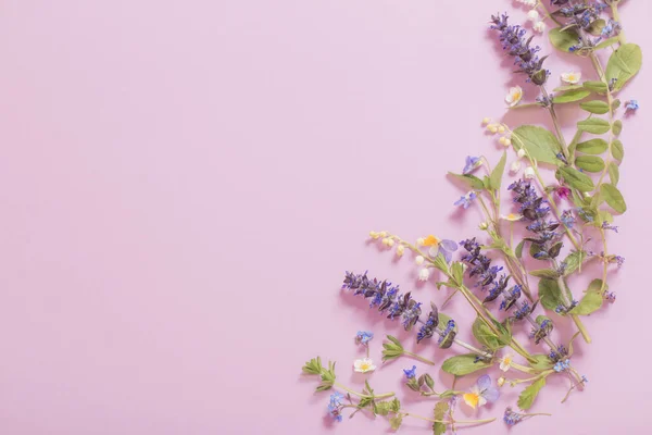 Schöne Sommerblumen Auf Rosa Hintergrund — Stockfoto