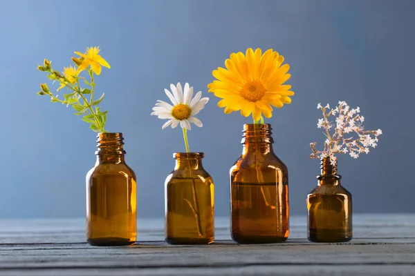 Plantes Médicinales Bouteilles Brunes Sur Fond Bleu — Photo