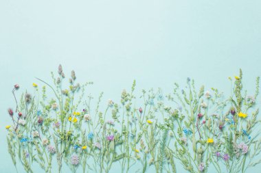 kağıt arkaplanda farklı yabani çiçekler