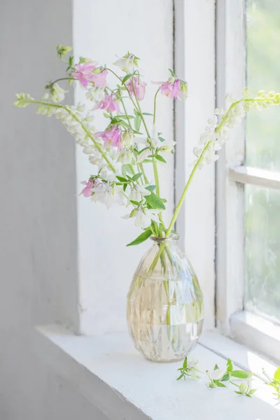 Vazodaki Yaz Çiçekleri Güneş Işığında Pencere Eşiğinde — Stok fotoğraf