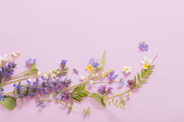 Pembe arka planda güzel yaz çiçekleri