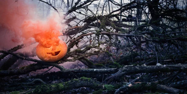 Хэллоуин Тыквы Страшном Осеннем Лесу — стоковое фото