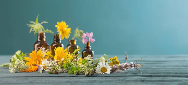 蓝色背景的药用植物和棕色瓶子 — 图库照片