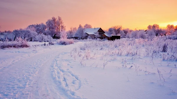 beautiful winter landscape with snow at sunset