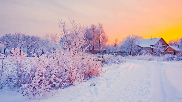 Zimowy Krajobraz Wiejski Śniegiem Zachodzie Słońca — Zdjęcie stockowe