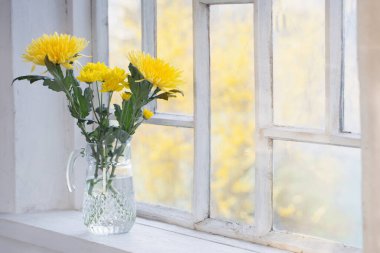 Sarı kasımpatı cam sürahi içinde pencere eşiğinde