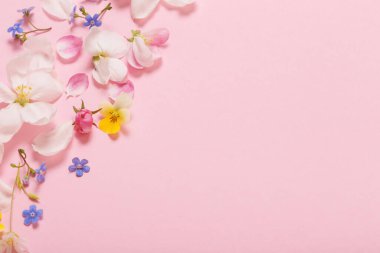 Pembe arka planda bahar çiçekleri