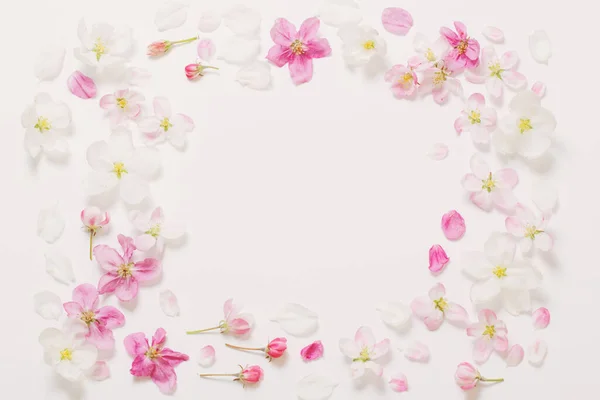 Flores Maçã Rosa Branca Fundo Branco — Fotografia de Stock