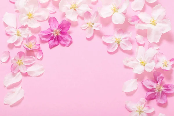 ピンクりんごの花ピンクの背景 — ストック写真