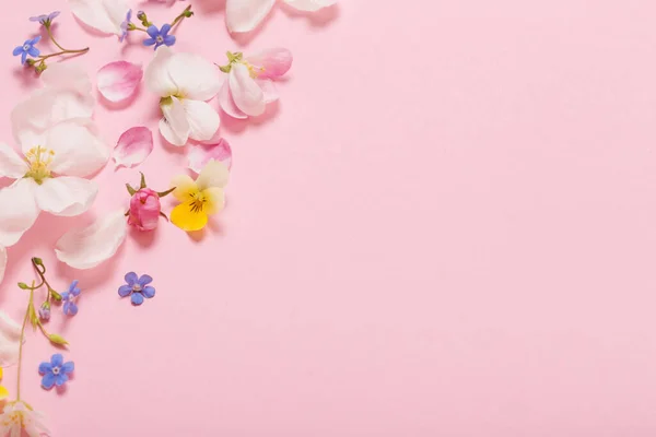 Fiori Primaverili Sfondo Rosa — Foto Stock