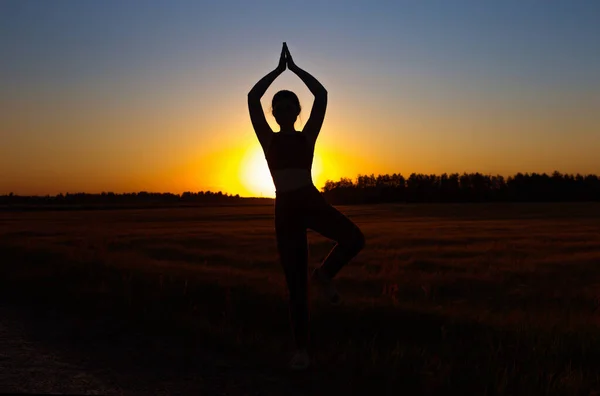 Yazın Gün Batımında Yoga Yapan Genç Bir Kadın — Stok fotoğraf