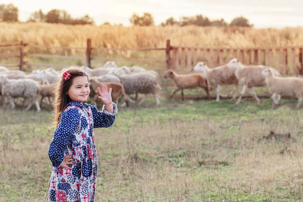 Niña Feliz Con Ovejas Granja — Foto de Stock