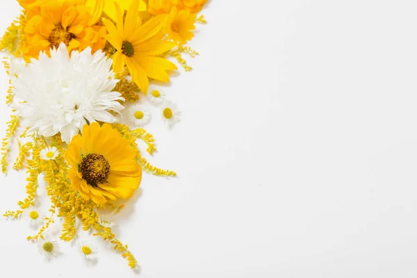 Κίτρινα Λουλούδια Λευκό Φόντο — Φωτογραφία Αρχείου