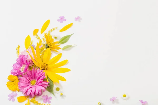 Flores Amarelas Rosa Sobre Fundo Branco — Fotografia de Stock