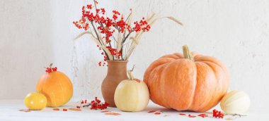 Bal kabakları ve ağaç dallarıyla dolu bir hayat.