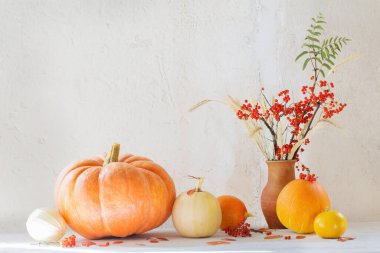 Bal kabakları ve ağaç dallarıyla dolu bir hayat.