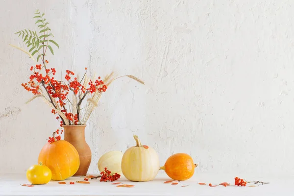 Naturaleza Muerta Con Calabazas Ramas Serbal Mesa Madera — Foto de Stock