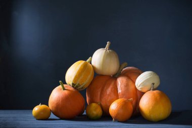Koyu mavi arkaplanda turuncu balkabağı