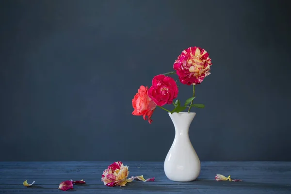 roses in vase on dark blue background