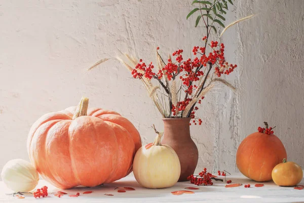 Bal kabakları ve ağaç dallarıyla dolu bir hayat.