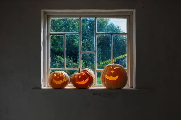 Citrouilles Halloween Sur Rebord Fenêtre Blanc — Photo