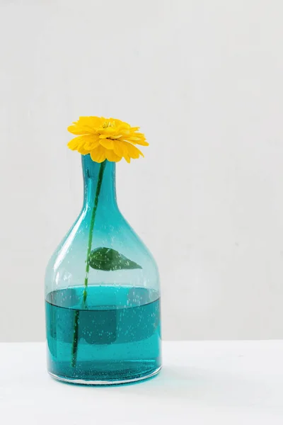 Fleurs Jaunes Dans Vase Verre Sur Fond Blanc — Photo