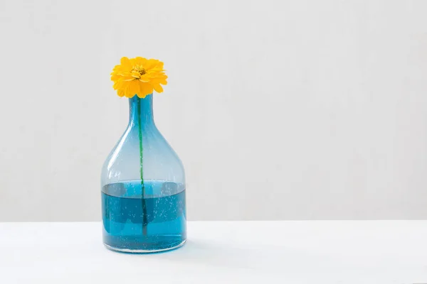stock image yellow flowers in glass vase on white background