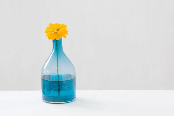 Stock image yellow flowers in glass vase on white background