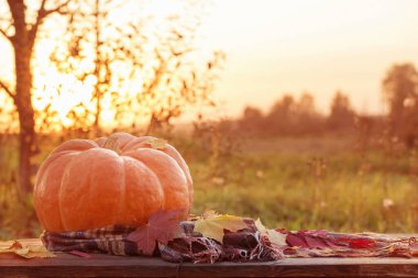 Sonbahar yapraklı turuncu balkabağı gün batımında ahşap masada.