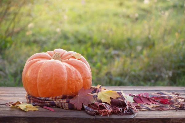 Oranje Pompoen Met Herfstbladeren Houten Tafel Bij Zonsondergang — Stockfoto