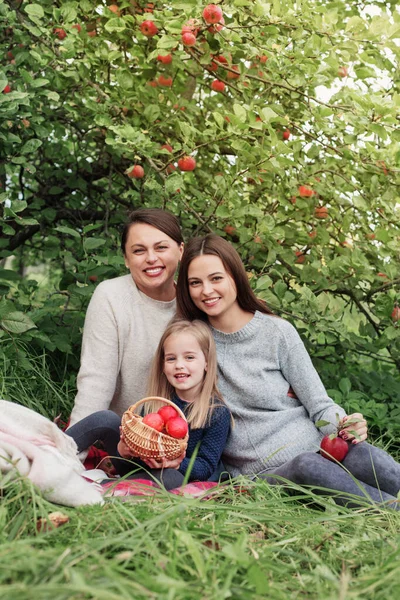 Três Gerações Mulheres Mesma Família Pomar Maçã Piquenique — Fotografia de Stock