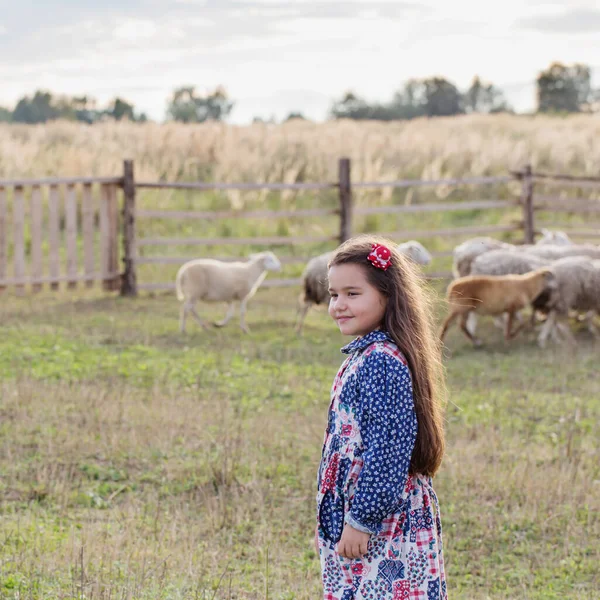 Menina Feliz Com Ovelhas Fazenda — Fotografia de Stock