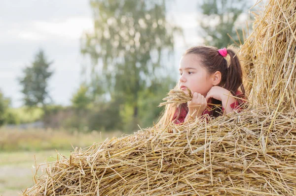 快乐的小女孩 穿着红色的衣服 躺在一堆稻草上 — 图库照片