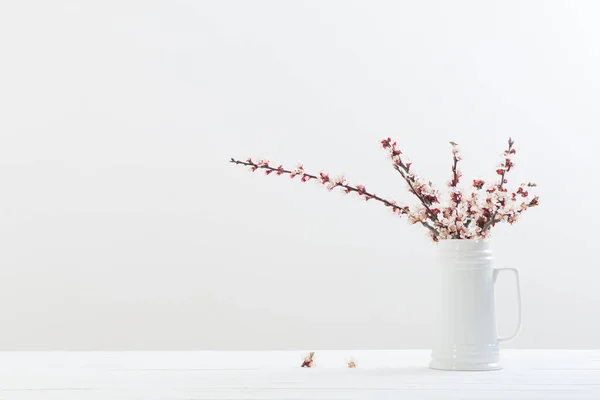 Kersenbloemen Vaas Witte Achtergrond — Stockfoto