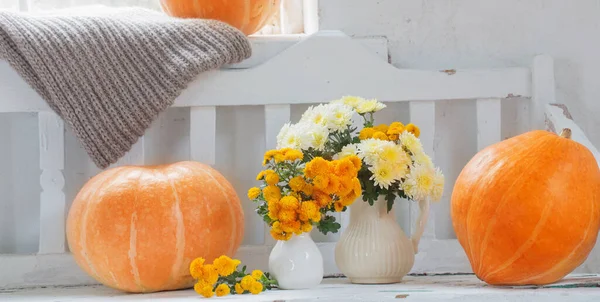 Yellow Chrysanthemums Jug Orange Pumpkins Old White Wooden Bench — Stock Photo, Image