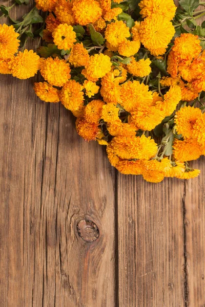 Oranje Chrysanten Oude Houten Ondergrond — Stockfoto