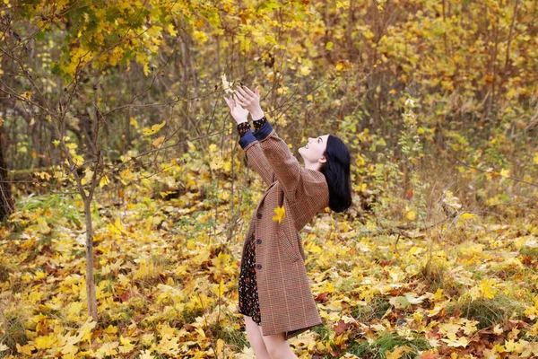 秋天公园里美丽的黑发姑娘 — 图库照片