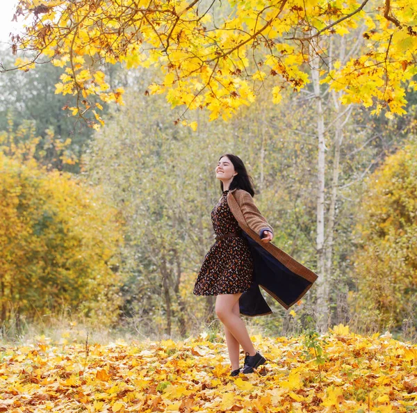 Красивая Брюнетка Девушка Осеннем Парке — стоковое фото