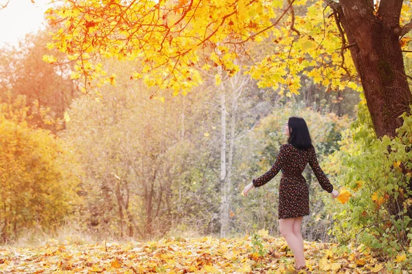 Красива Брюнетка Дівчина Осінньому Парку — стокове фото