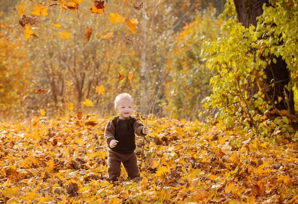 Kleines Glückliches Kind Herbstpark — Stockfoto
