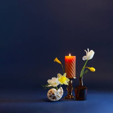 Hayat bahar çiçekleri, deniz kabuğu ve koyu mavi arka planda yanan mum arasında