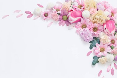 Beyaz arkaplanda çiçek çerçevesi