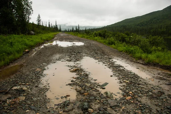 Bumpy Dirty Road Puddles Mountain Forest — Stock Photo, Image