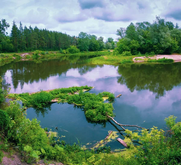 Wild River Nature Summer Scenery Water Pond — Stock Photo, Image