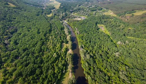 Panorama Aereo Del Fiume Scorre Attraverso Foresta Verde — Foto Stock