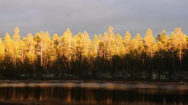 gündoğumu sonbahar Paz pines üst kısımları boyalı