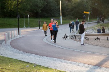 Helsinki, Finlandiya - 22 Ağustos 2017: yaban kazları (Branta leucopsis) en iyi ekolojik şartlar ile şehir sınırları içinde yaşayan ve vatandaşlar dinlenme ve spor burada meşgul. Yaşam alanı için rekabet